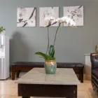 Business 1 image CENTER FOR HOLISTIC DENTISTRY Dentist in Los Angeles CA