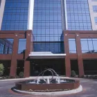 Business 7 image CHINA INN CAFE Restaurants in Houston TX