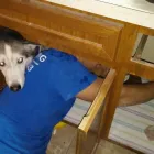 Business 5 image CHOICE PLUMBING Plumbers in Orlando FL