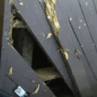 Business 25 image CHRIS PROFESSIONAL HANDYMAN SERVICE Painting Contractors in San Diego CA