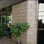 Business 7 image CHRISTY DENTAL CARE Dentists in Phoenix AZ