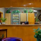 Business 10 image CHRISTY DENTAL CARE Dentists in Phoenix AZ