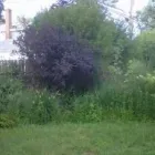 Business 13 image CJ CUTTING EDGE LAWN & LANDSCAPE Lawn Mowing Services in Tonawanda NY