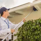 Business 6 image CLARK PEST CONTROL Whiteflies in San Diego CA