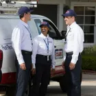 Business 8 image CLARK PEST CONTROL Whiteflies in San Diego CA