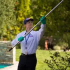 Business 10 image CLARK PEST CONTROL Whiteflies in San Diego CA