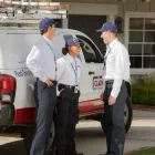 Business 14 image CLARK PEST CONTROL Whiteflies in San Diego CA