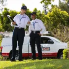 Business 21 image CLARK PEST CONTROL Whiteflies in San Diego CA