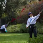 Business 25 image CLARK PEST CONTROL Whiteflies in San Diego CA