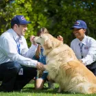 Business 26 image CLARK PEST CONTROL Whiteflies in San Diego CA