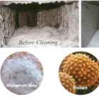 Business 1 image CLEAN  DUCTS ORLANDO Air Duct Cleaning Service in Orlando FL