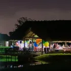 Business 7 image COCO PARADISE in Miami FL