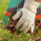 Business 3 image COLLINS LAWN CARE in Wheat Ridge CO