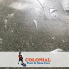 Business 2 image COLONIAL FLOOR AND STONE CARE BROWARD Flooring Contractors in Fort Lauderdale FL
