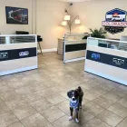 Business 2 image COLORADO HAIL SOLUTIONS in Denver CO