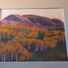 Business 4 image COLORADO QUALITY PAINTING LLC Painting Contractors in Denver CO