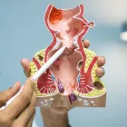 Business 19 image COLOWELL AMERICA Wellness Center in Tampa FL