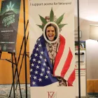 Business 25 image COLOWELL AMERICA Wellness Center in Tampa FL