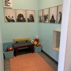 Business 5 image COMFORT DENTAL KIDS - LAKEWOOD Pediatric Dentistry in Lakewood CO
