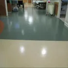 Business 3 image COMPLETE FLOOR CARE SOLUTIONS Cleaning Services in Tampa FL