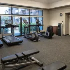 Business 2 image COURTYARD BY MARRIOTT ORLANDO AIRPORT Hotel in Orlando FL