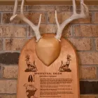 Business 3 image CREATIVE LASER SOLUTIONS Trophies Plaques Medals in Kansas City MO