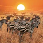 Business 15 image CRUISE PLANNERS - MARTINDALETRAVELANDTOURS.COM Vacation Packages in San Diego CA