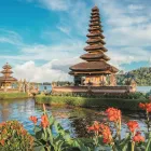 Business 18 image CRUISE PLANNERS - MARTINDALETRAVELANDTOURS.COM Vacation Packages in San Diego CA