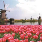 Business 22 image CRUISE PLANNERS - MARTINDALETRAVELANDTOURS.COM Vacation Packages in San Diego CA