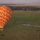 Business 35 image CRUISE PLANNERS - MARTINDALETRAVELANDTOURS.COM Vacation Packages in San Diego CA