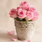 Business 2 image CRYSTAL MASSAGE Spa in Fort Lauderdale FL