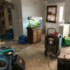 Business 2 image CSL WATER DAMAGE RESTORATION water damage Water Damage Restoration in Orlando FL