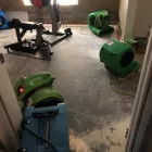 Business 3 image CSL WATER DAMAGE RESTORATION water damage Water Damage Restoration in Orlando FL