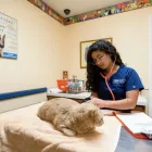 Business 2 image CURRY FORD ANIMAL HOSPITAL in Orlando FL