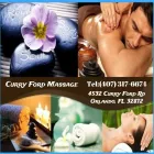 Business 7 image CURRY FORD MASSAGE in Orlando FL