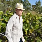 Business 38 image DACCORD SHIRTS & GUAYABERAS in Miami FL