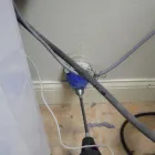 Business 4 image DAN DAN THE CARPET MAN Water Restoration in Orlando FL