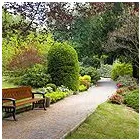 Business 4 image DANIEL'S LAWN SERVICE AND PRESSURE WASHING Pressure Washing Equipment & Services in Orlando FL