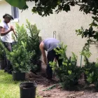 Business 3 image DANIEL'S LAWN SERVICE AND PRESSURE WASHING Pressure Washing Equipment & Services in Orlando FL