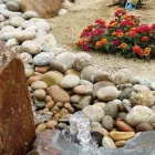 Business 4 image DAVE SUDA LANDSCAPE Pest Control in San Diego CA