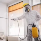 Business 8 image DECORUM CLEANING, LLC Standard Cleaning in Orlando FL