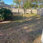 Business 4 image DELGADO MULTI-SERVICES, INC. Outdoor Enclosure Contractors in Tampa FL