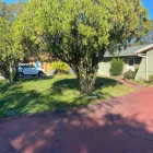 Business 12 image DELGADO MULTI-SERVICES, INC. Outdoor Enclosure Contractors in Tampa FL