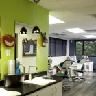 Business 3 image DIETMEIER ORTHODONTICS Orthodontists in Denver CO