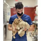 Business 1 image DOLLYS ANIMAL CLINIC Veterinarians in Miami FL