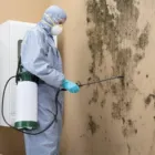 Business 2 image DRIRITE - ORLANDO Water Damage Restoration in Winter Garden FL