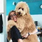 Business 9 image DUNK'N DOGS DOG WASH Pets & Animals in San Diego CA