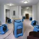 Business 1 image ECONOMY CARPET CLEANING Water Damage Restoration in Miami FL
