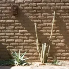 Business 4 image ECOSENSE SUSTAINABLE LANDSCAPES Waterworks Contractors in Tucson AZ