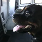 Business 3 image EDUARDO A ARECCO CHB Transportation Services in Tampa FL